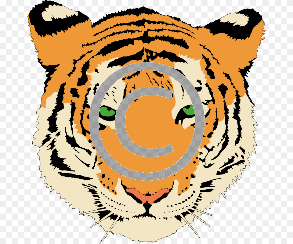 Head Of A Tiger Tigerstock Tigers, Baby, Person, Animal, Mammal Free Png Download