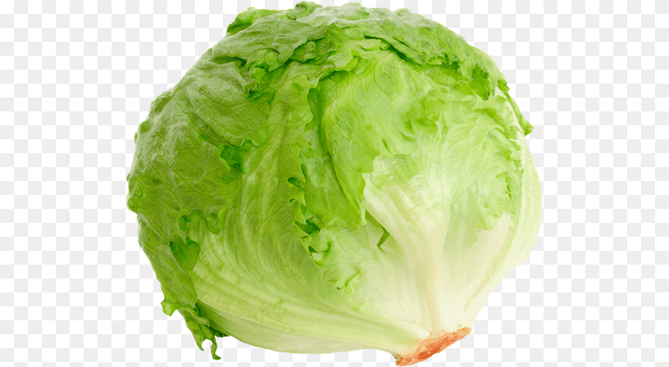 Head Of Lettuce Banner Library Stock Image Of Lettuce, Food, Plant, Produce, Vegetable Free Png Download