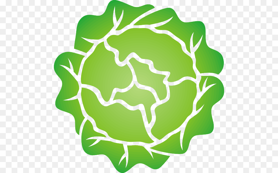 Head Of Lettuce Clipart For Web, Green, Leaf, Plant, Pattern Free Png