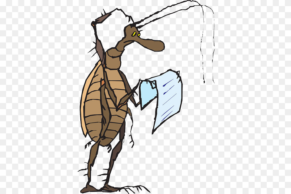 Head Paper Reading Cartoon Bug Insect Scratch Animal Reading Confused Cartoon, Person Png Image