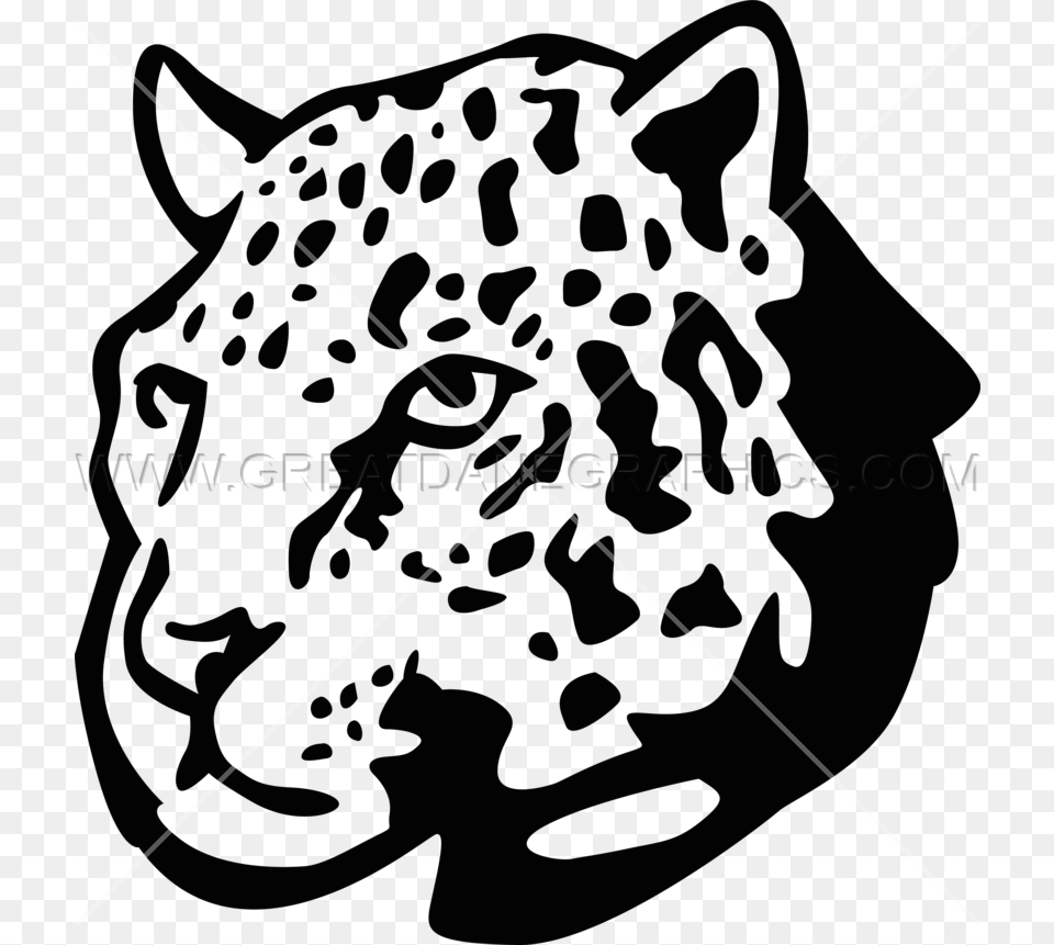 Head Production Ready Artwork Cheetah Head, Animal, Mammal, Panther, Wildlife Free Transparent Png