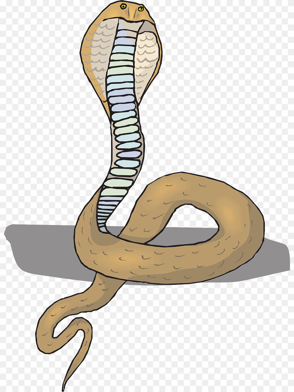 Head Snake Cobra Picture, Animal, Reptile Free Transparent Png