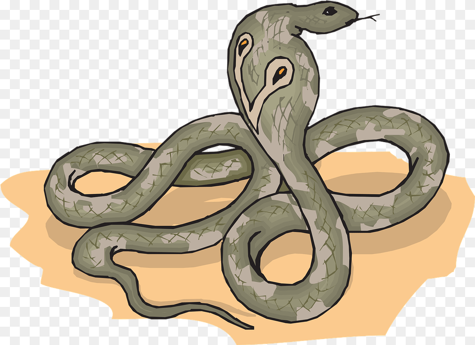 Head Snake Cobra Raised Tongue Animals, Animal, Baby, Person Free Transparent Png