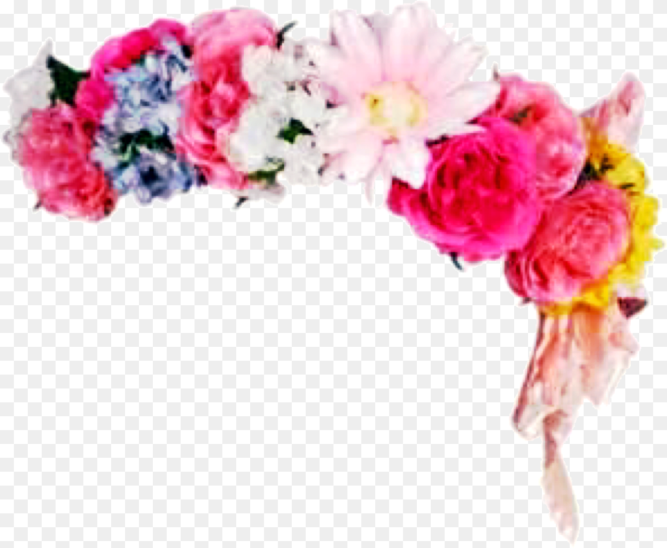 Headband Flowerband Floral Flowers Flowercrown Sticker Flower Crown Transparent Gif, Carnation, Flower Arrangement, Flower Bouquet, Plant Free Png