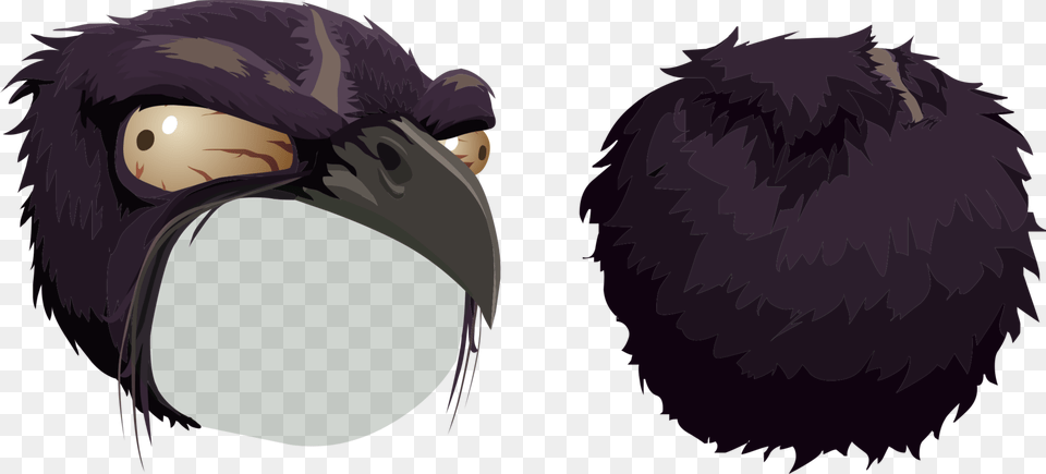 Headblack Hairpurple Mask, Animal, Beak, Bird, Blackbird Png