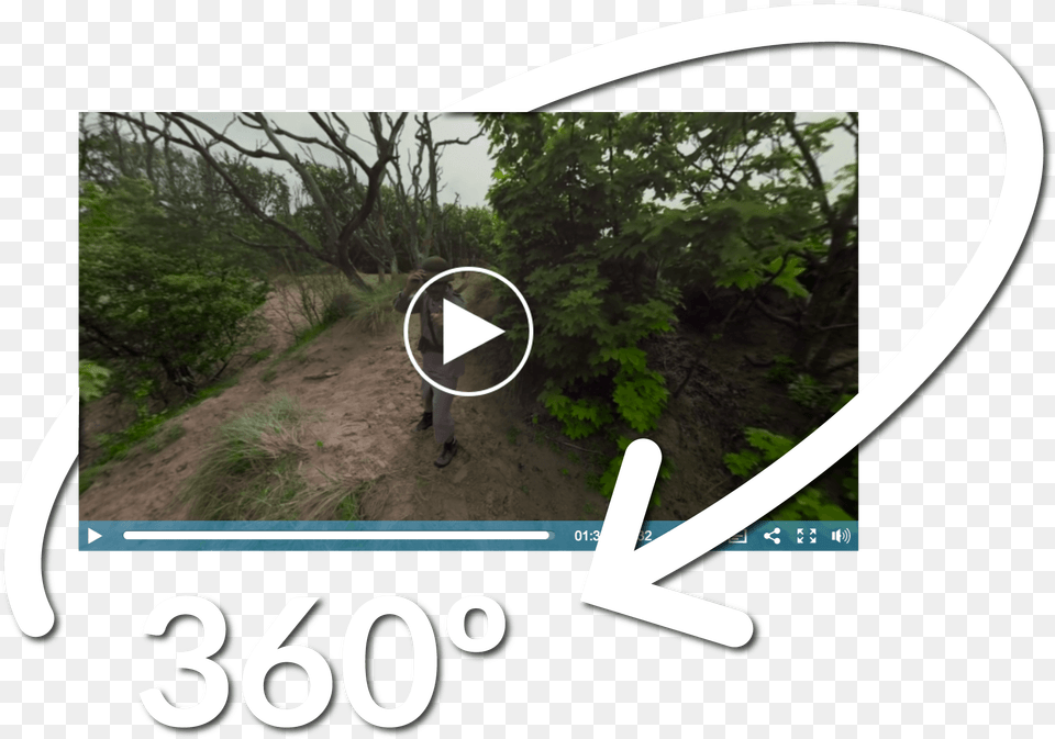 Header Image For 360 Video Through The Eyes Of Our Grass, Plant, Vegetation, Nature, Outdoors Png