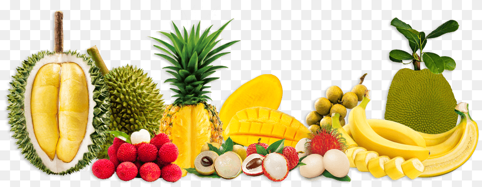 Header Organic Food, Fruit, Plant, Produce, Banana Free Transparent Png