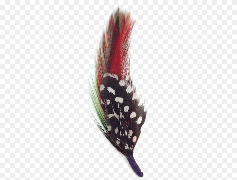 Headpiece, Animal, Beak, Bird, Flower Png