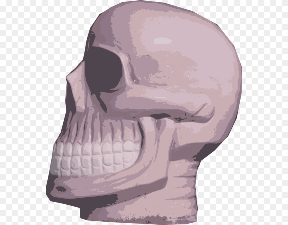 Headskeletonskull Skull, Head, Person, Face, Clothing Png