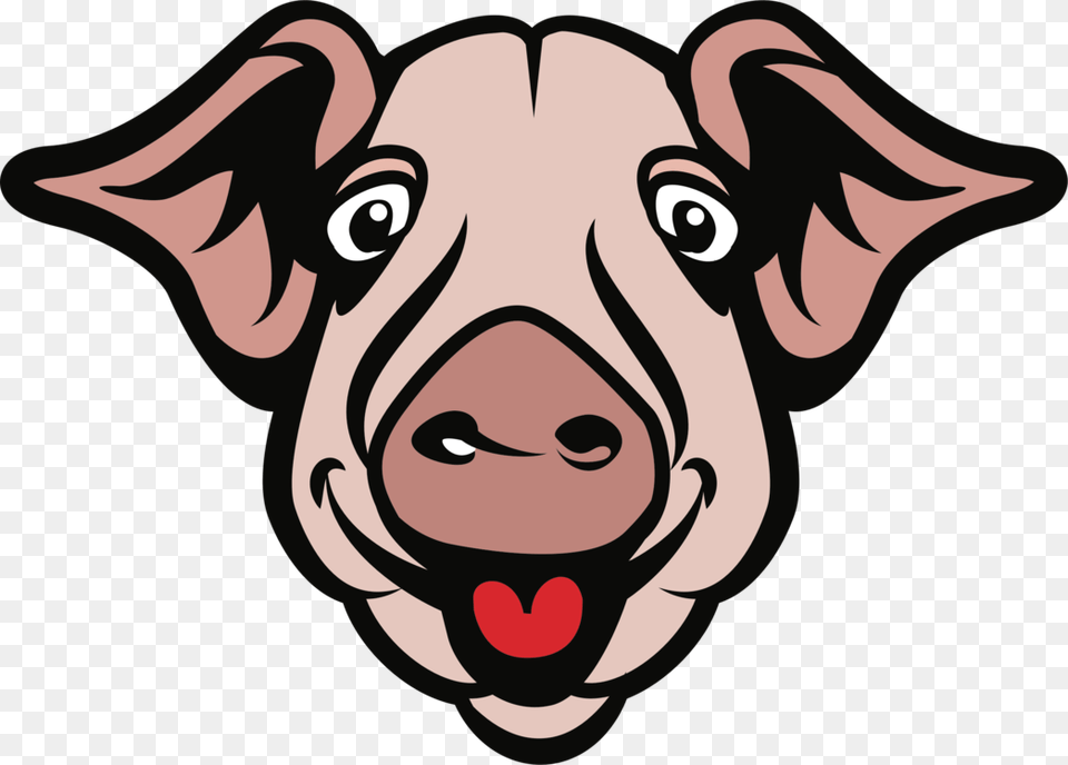 Headsuidaelivestock Pig Head, Snout, Baby, Person, Face Png