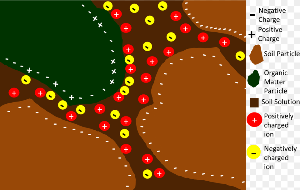 Health And Its Importance Negatively Charged Soil Particles, Food, Sweets Png