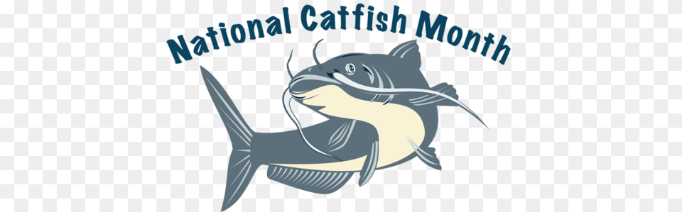 Health Benefits Of Catfish And Heartland Catfish Vendor Profile, Animal, Sea Life, Fish, Shark Png Image