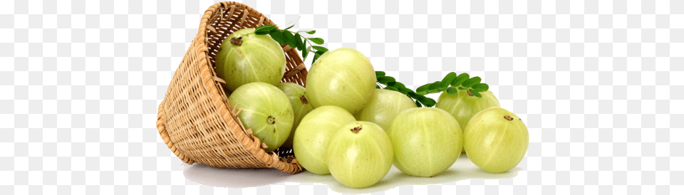 Health Benfits Of Amla Amla Powder, Food, Fruit, Plant, Produce Png Image