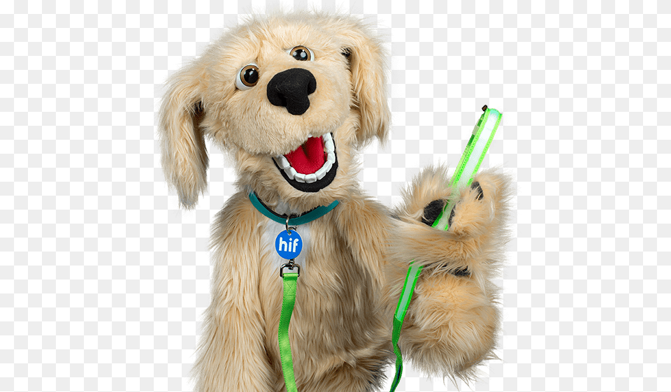 Health Insurance Fund Of Australia, Teddy Bear, Toy Png Image