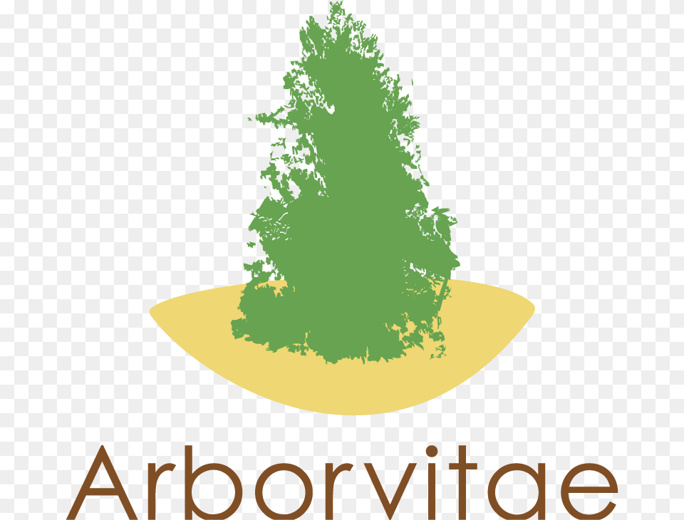 Health Logo Design For A Company In Australia Christmas Tree, Plant, Conifer, Vegetation, Fir Free Png