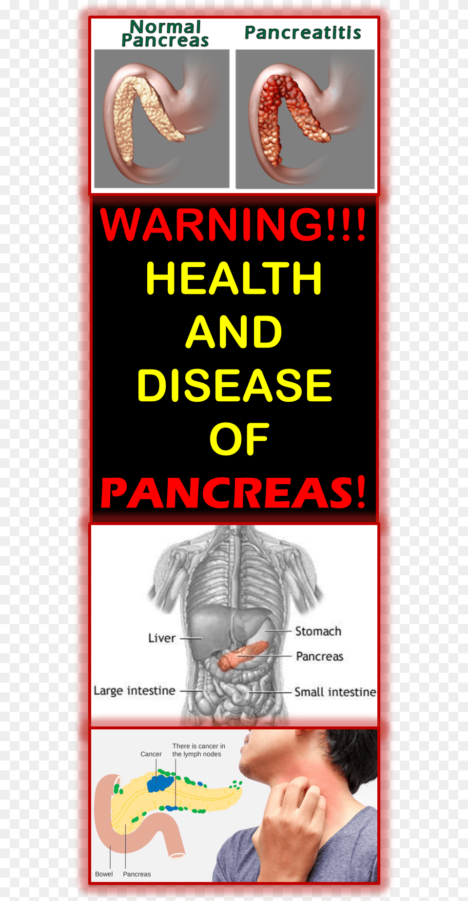 Health Of Pancreas Is Necessary For Good Function Of Nj Wealth, Adult, Male, Man, Person Free Png Download