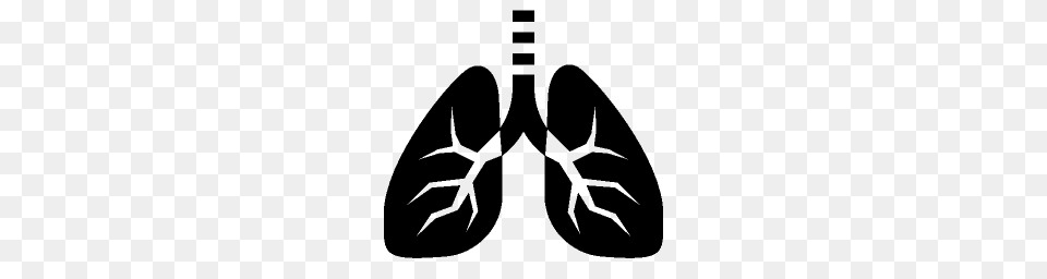 Healthcare Lungs Icon Windows Iconset, Gray Free Png