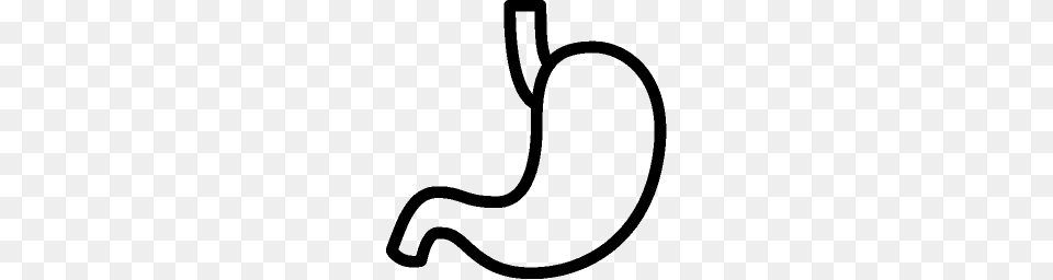 Healthcare Stomach Icon Ios Iconset, Gray Free Transparent Png