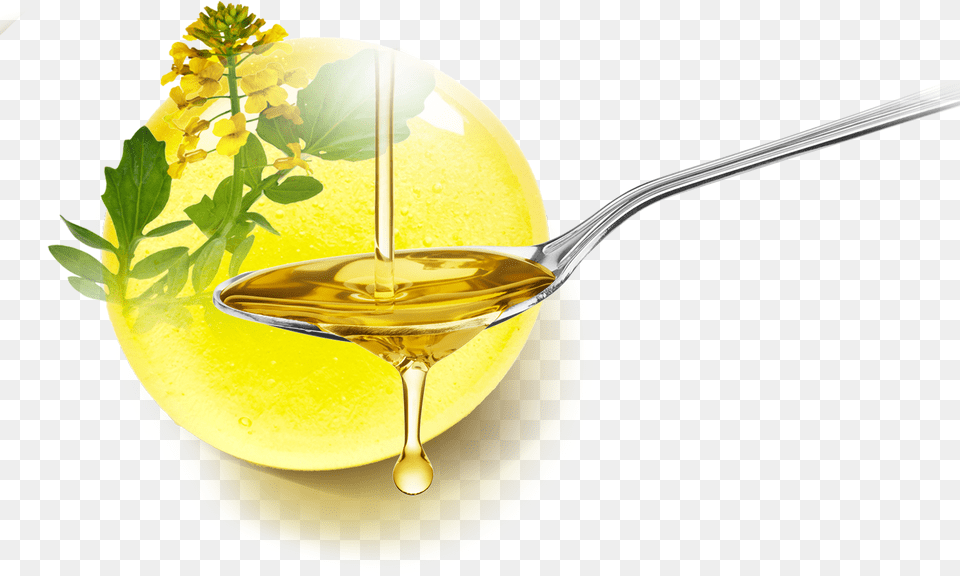 Healthiest Cooking Oils, Food, Cooking Oil Free Transparent Png