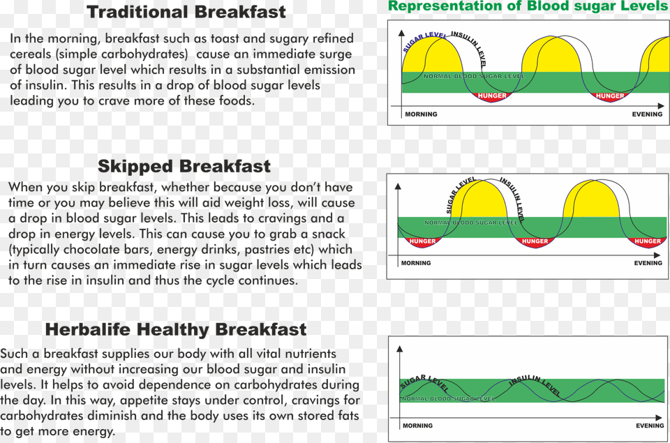 Healthy Blood Sugar Levels Sugar Level Without Breakfast, Sphere, Chart, Plot, Page Free Transparent Png