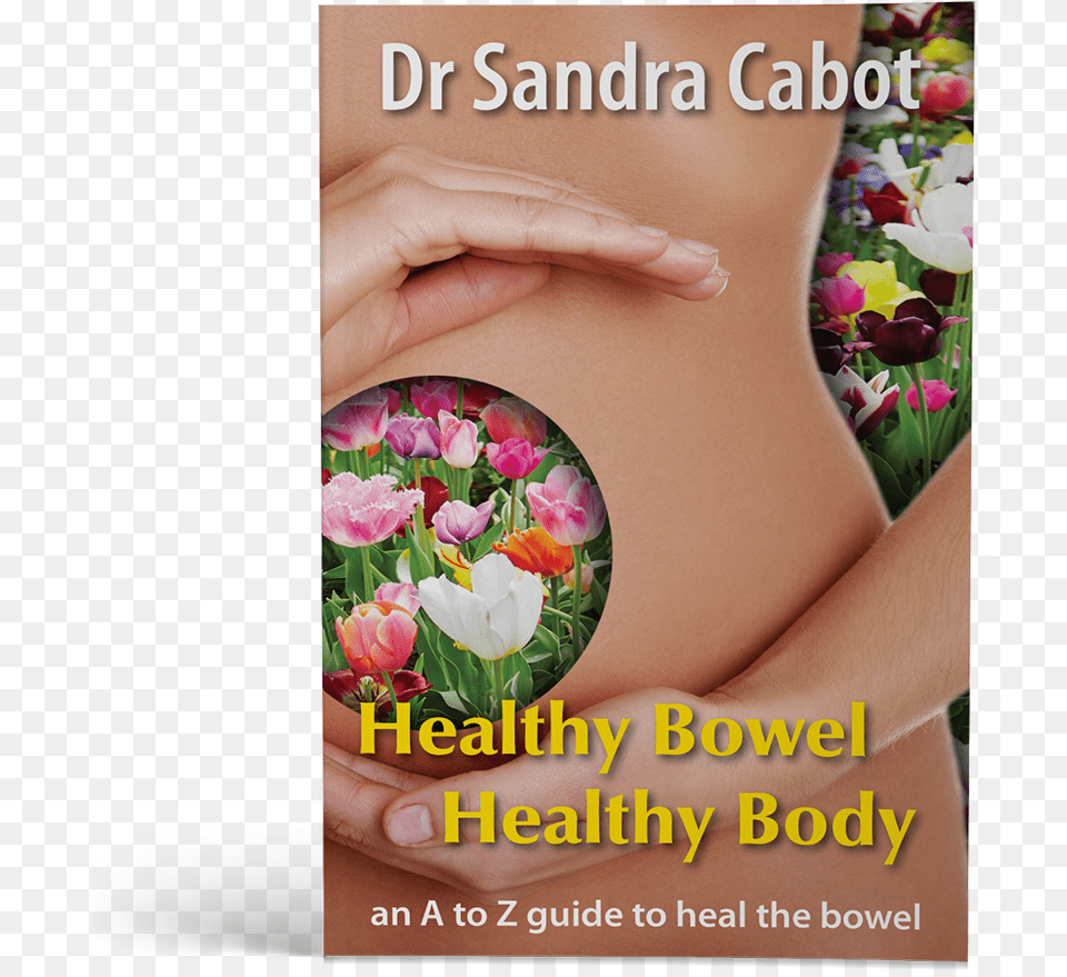 Healthy Bowel Healthy Body, Advertisement, Person, Poster, Massage Free Png