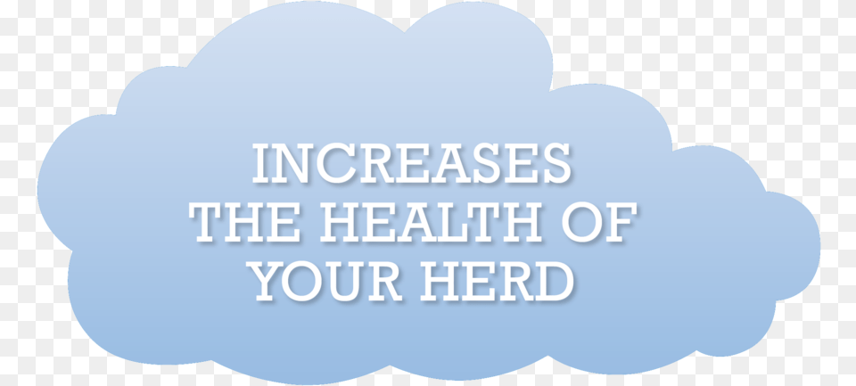 Healthy Cow Majuscule, Text, Hot Tub, Outdoors, Tub Png Image
