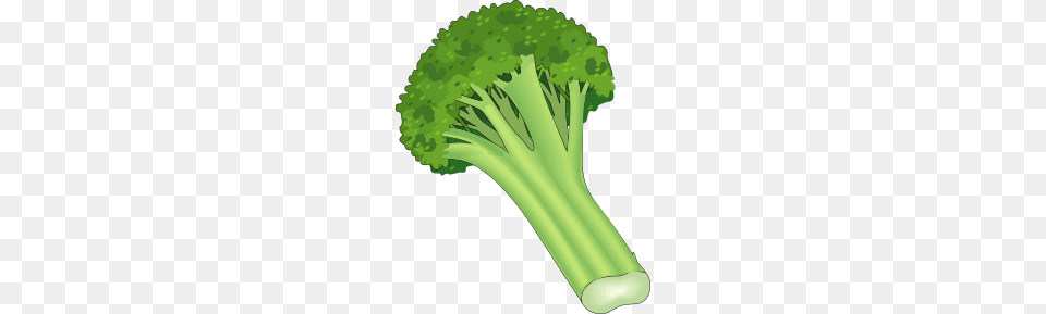 Healthy Eating Broccoli Clipart Explore Pictures, Food, Plant, Produce, Vegetable Free Transparent Png