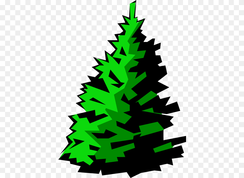 Healthy Fir Illustration, Green, Plant, Tree, Christmas Free Png