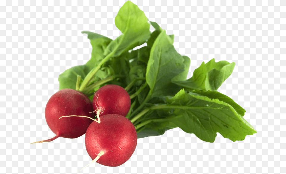 Healthy Food In Summer, Produce, Vegetable, Radish, Plant Png