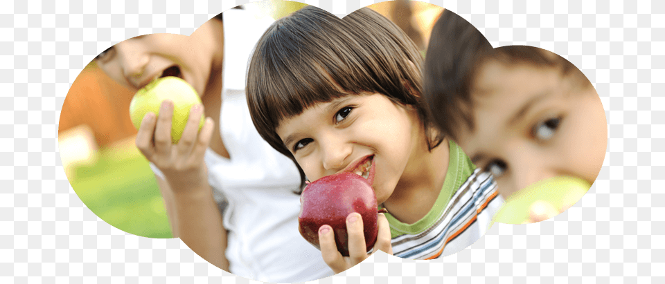 Healthy Foods For Kids New Zealand Lunch, Sport, Ball, Baseball, Baseball (ball) Free Png Download