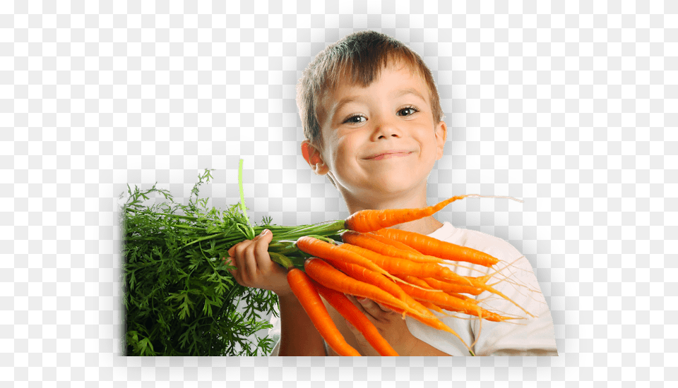 Healthy Living My Day Learning Health And Safety Set, Vegetable, Carrot, Produce, Food Png Image