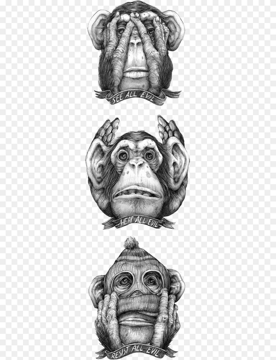 Hear No Evil See No Evil Speak No Evil Monkey Drawing, Art, Person, Collage Free Png Download