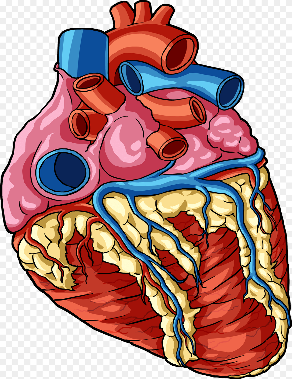 Heart 1 Human Body Parts Transparent Cartoon Jingfm Transparent Background Human Heart, Dynamite, Weapon Free Png Download