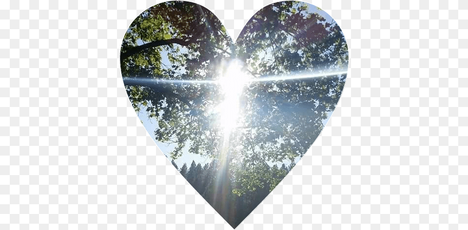Heart, Flare, Light, Sunlight, Nature Png