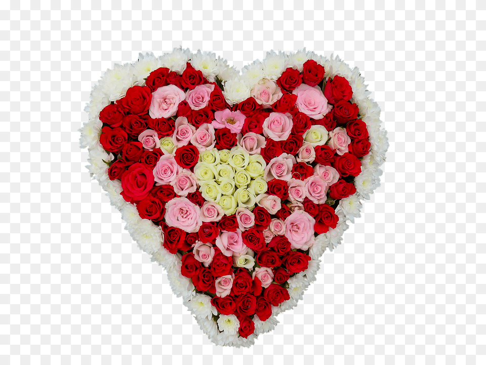 Heart Flower, Plant, Art, Floral Design Free Png Download