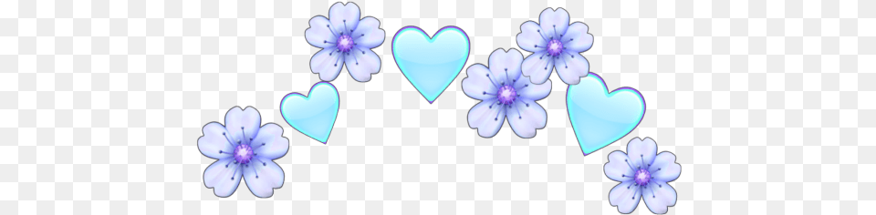 Heart, Flower, Plant, Petal Png Image