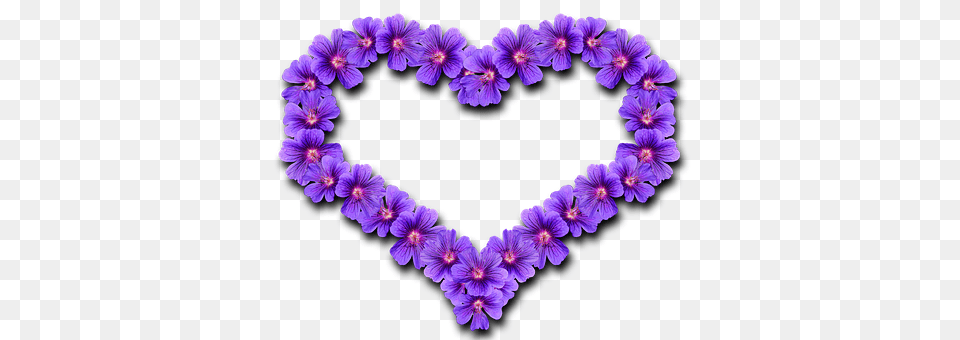 Heart Flower, Geranium, Plant, Purple Free Png
