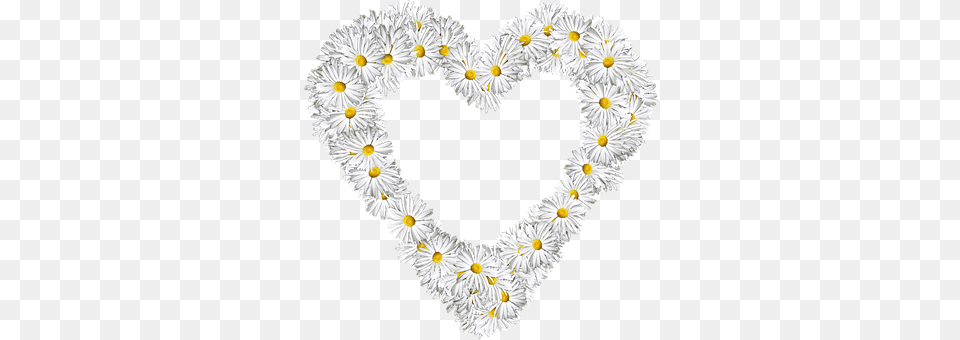 Heart Daisy, Flower, Plant, Person Free Png Download