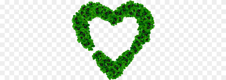 Heart Plant, Green Png Image