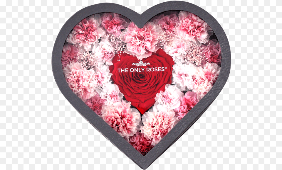 Heart, Flower, Plant, Rose, Carnation Png Image
