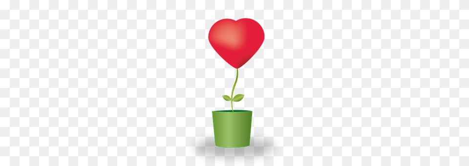 Heart Flower, Petal, Plant, Potted Plant Png