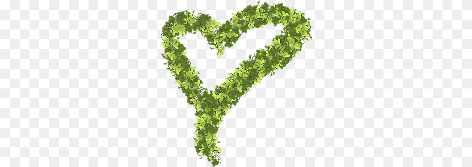 Heart Green, Plant Free Png
