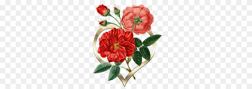Heart Art, Dahlia, Floral Design, Flower Free Png Download