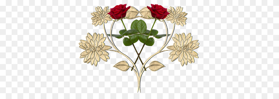 Heart Rose, Flower, Plant, Pattern Png