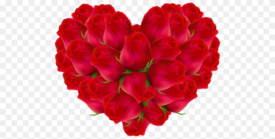 Heart, Rose, Dahlia, Plant, Flower Png Image