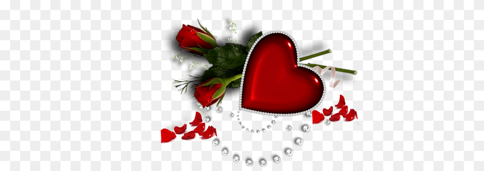 Heart Flower, Plant, Rose Free Png