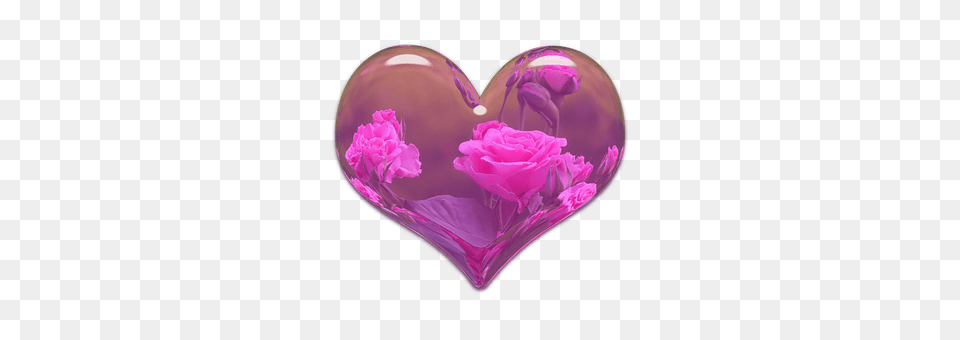 Heart Purple, Flower, Plant, Balloon Free Png