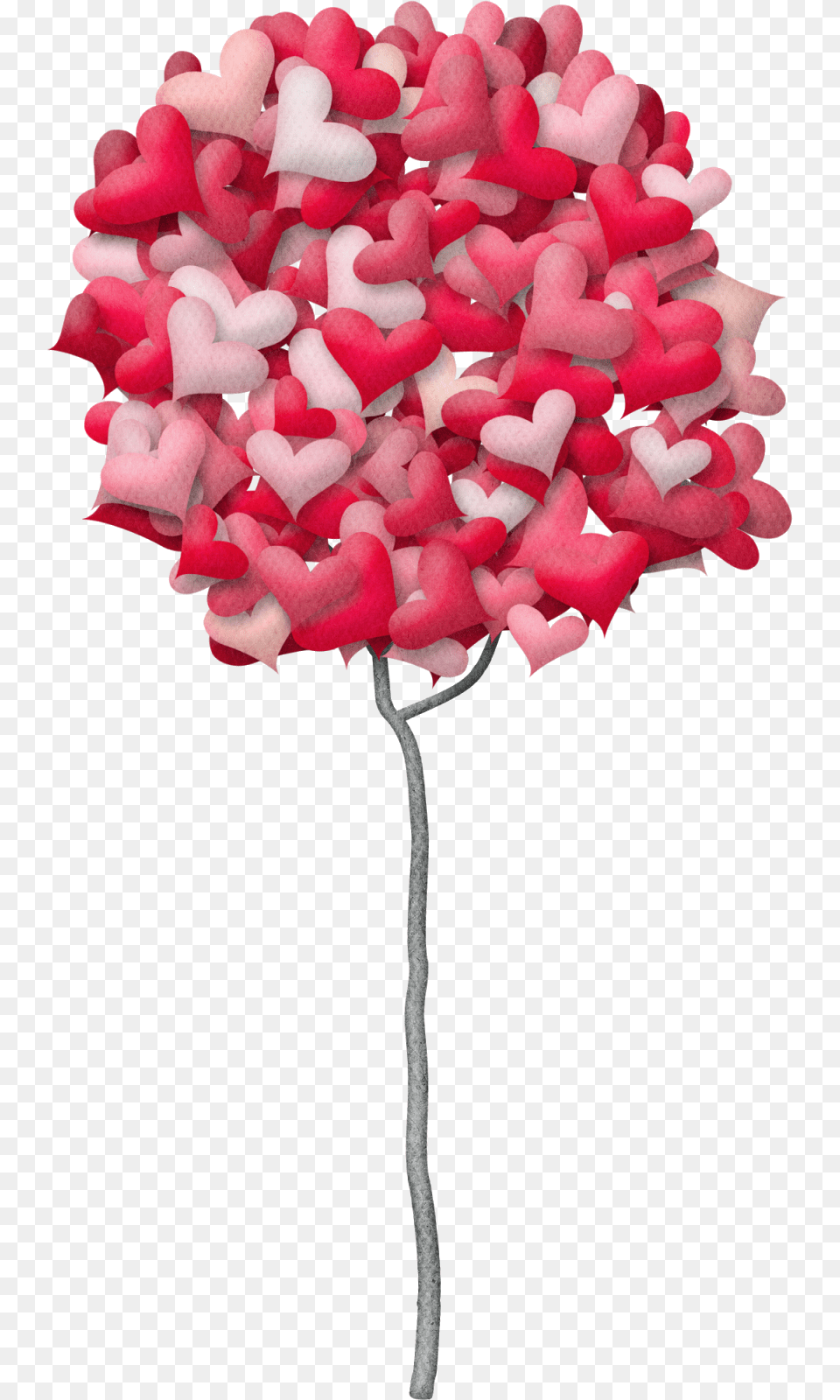 Heart, Plant, Flower Png