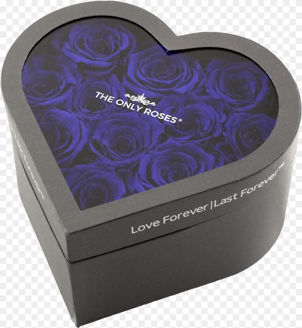 Heart, Box, Flower, Plant, Rose Png Image