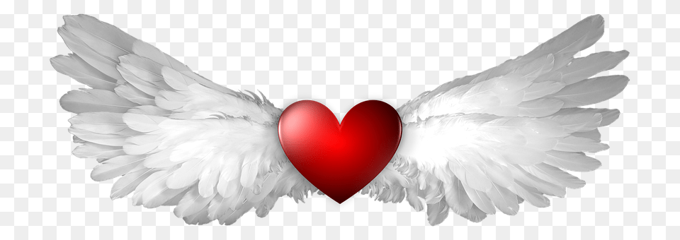 Heart Animal, Bird, Symbol Png Image